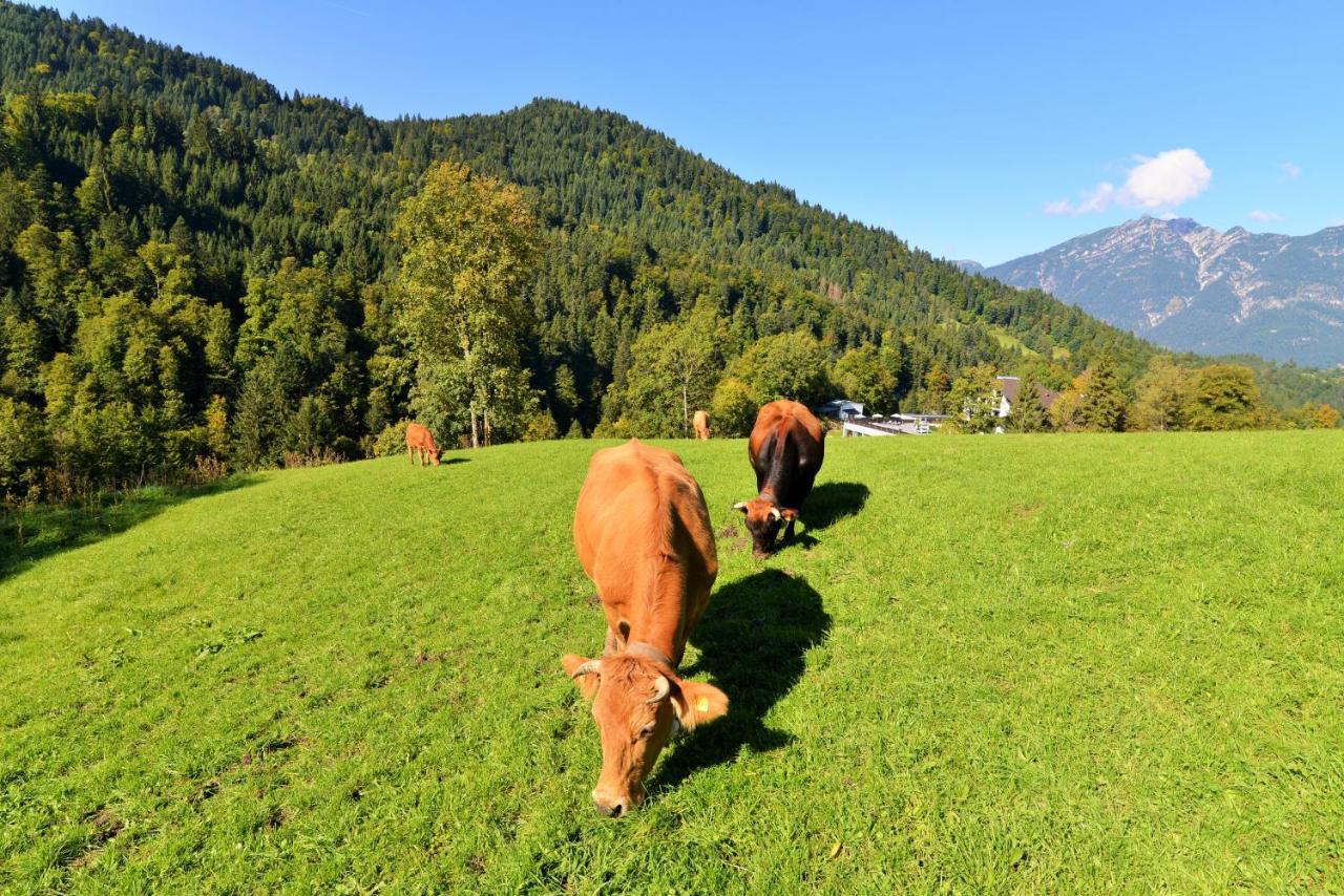 Das Graseck - Mountain Hideaway & Health Care ガルミッシュ・パルテンキルヒェン エクステリア 写真